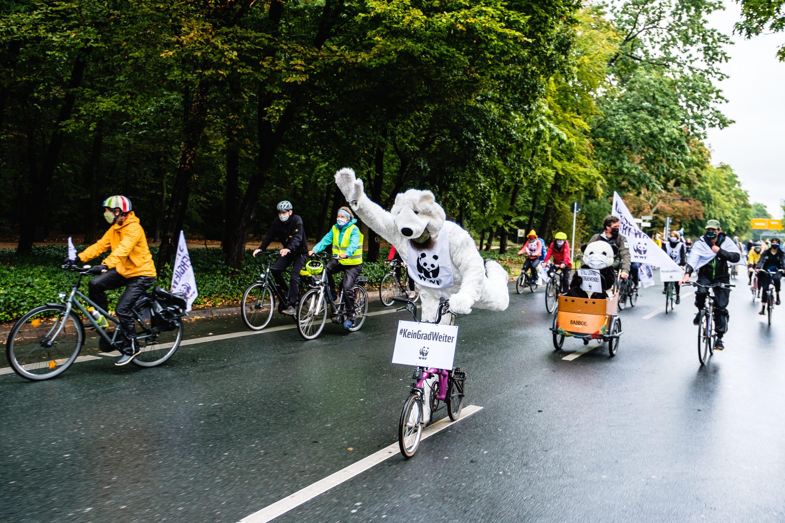 Fahrradfahrer auf der WWF Klimastreikdemp