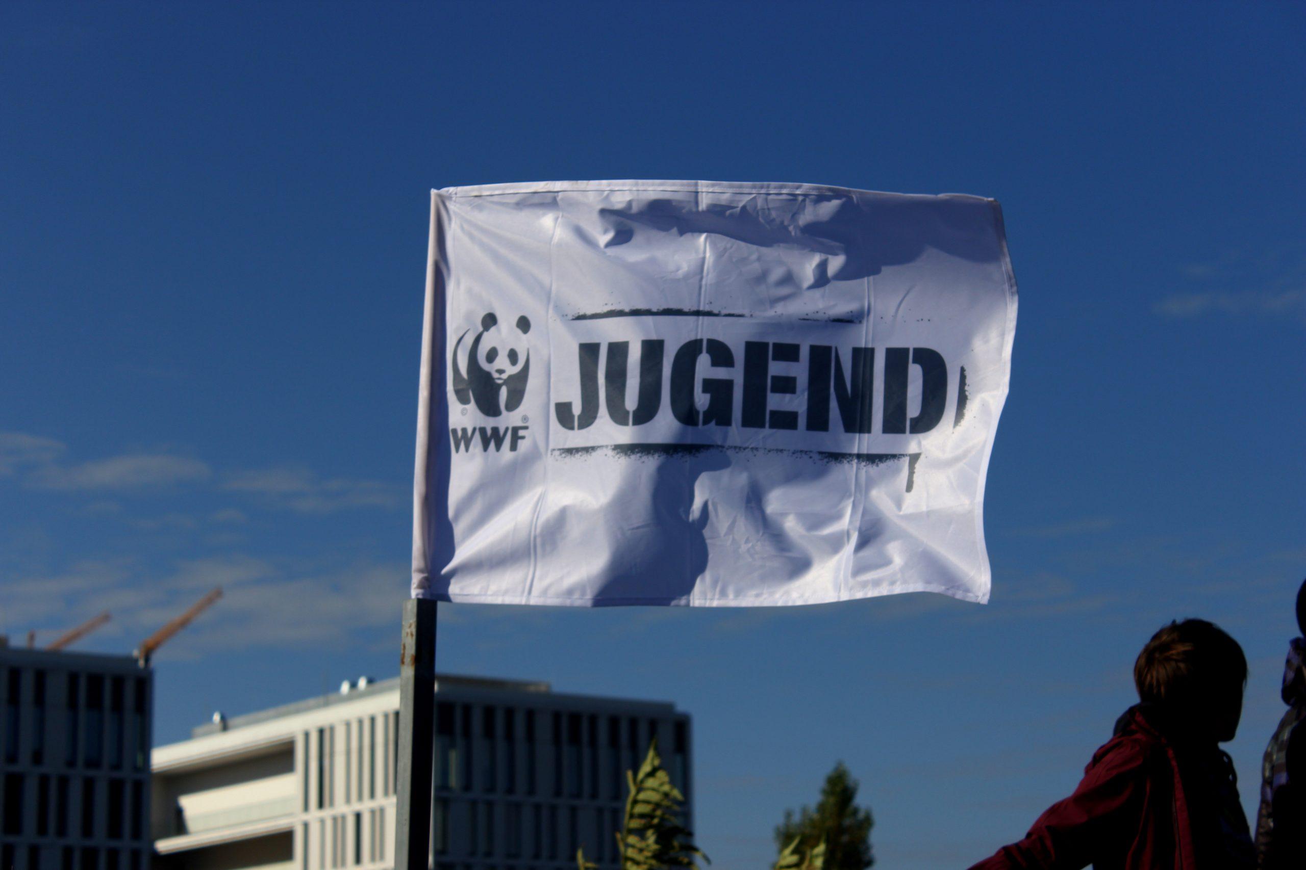 Die WWF Jugend Flagge weht im Wind