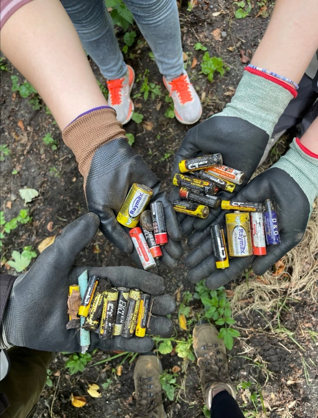 Batterienfund mitten im Wald