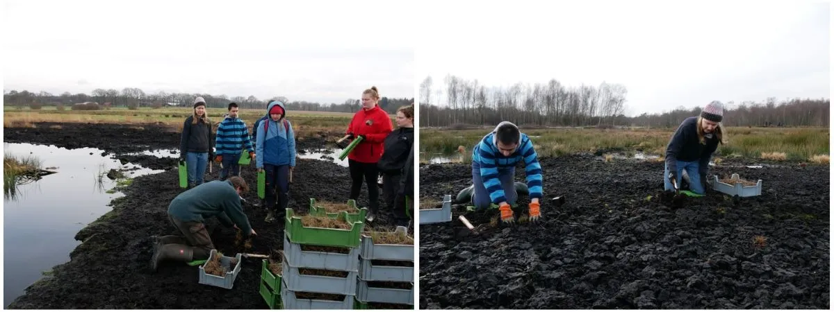 Collage mit zwei Bildern, links und rechts Menschen beim Naturschutzeinsatz im Moor