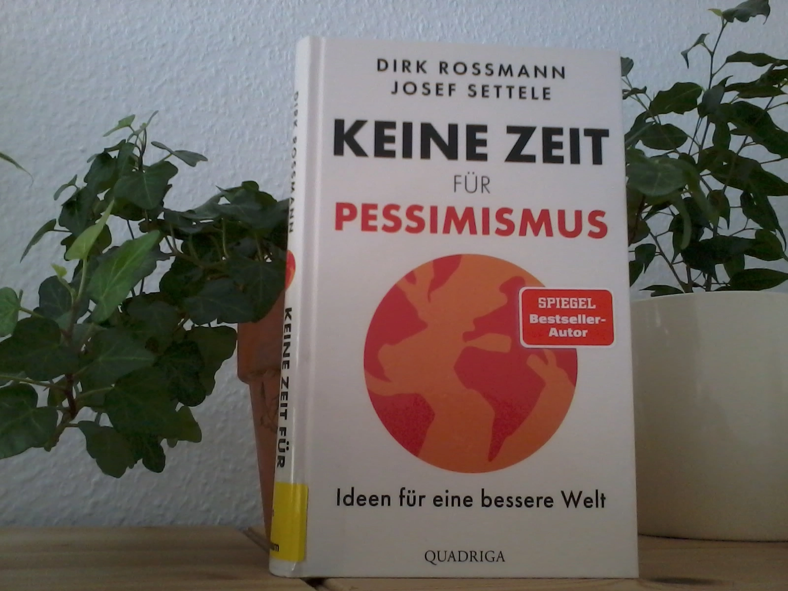 Das Buch "Keine Zeit für Pessimismus" steht vor zwei grünen Zimmerpflanzen