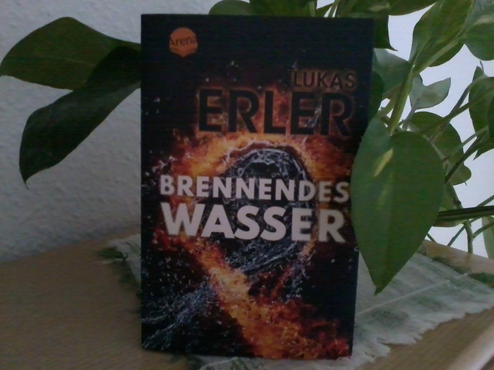 Das Foto zeigt das Buch "Brennendes Wasser". Es steht vor einer Pflanze mit großen grünen Blättern.
