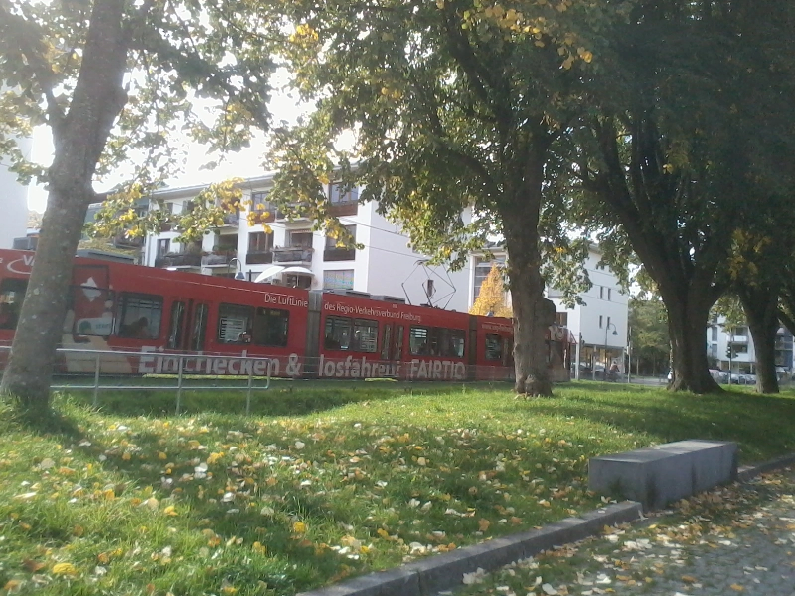 Das Foto zeigt eine rote Straßenbahn, die durch eine baumbewachsene Allee fährt.