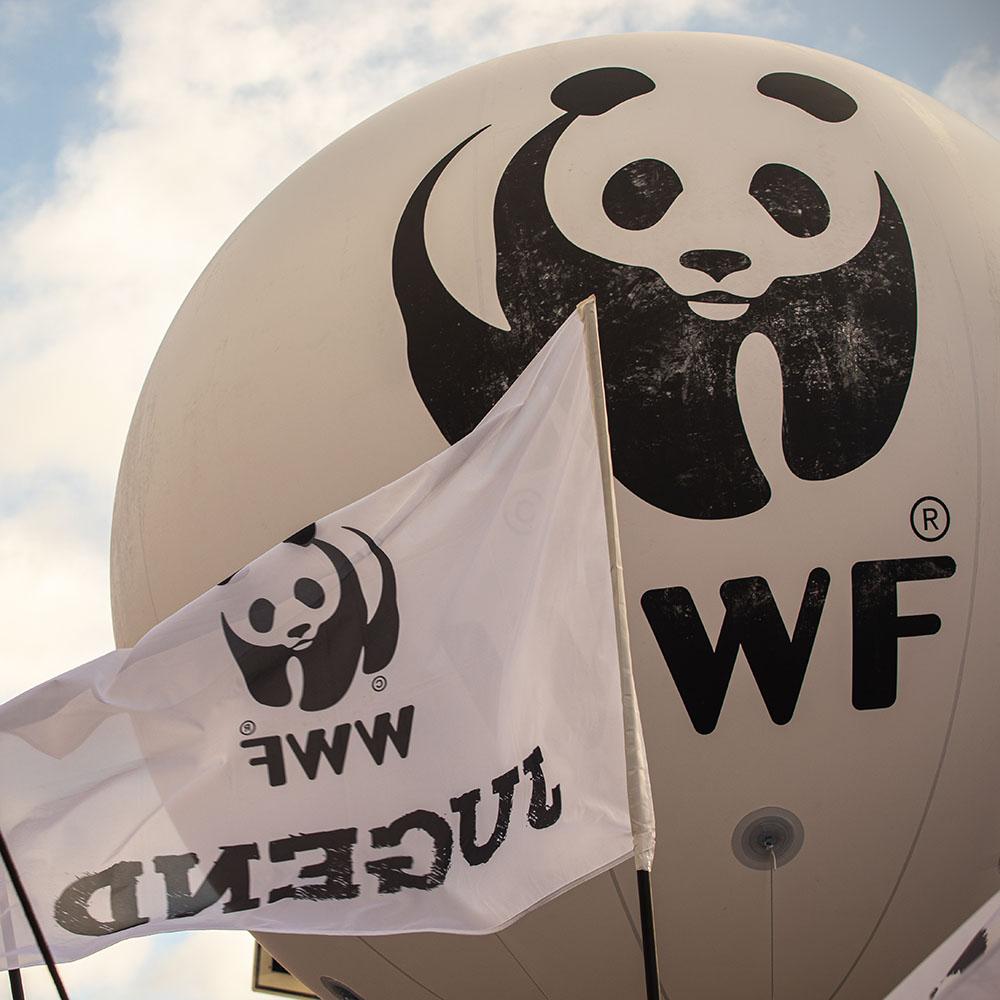 Eine WWF Jugend Flagge und ein WWF Jugend Ballon vor einem bewölktem Himmel
