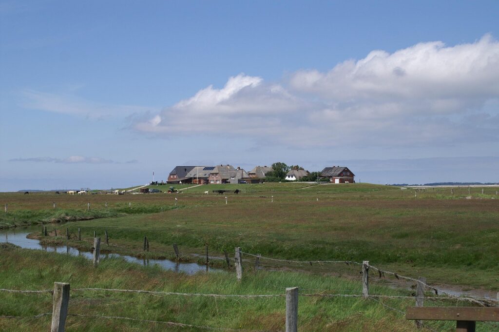 Mehrere Häuser auf einer Hallig, umgeben von Salzwiesen und Prielen