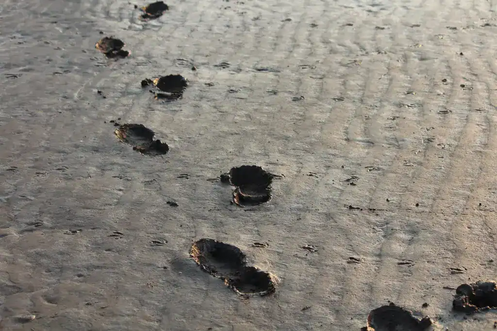 Mehrere Fußabdrücke bilden eine Spur im Sand
