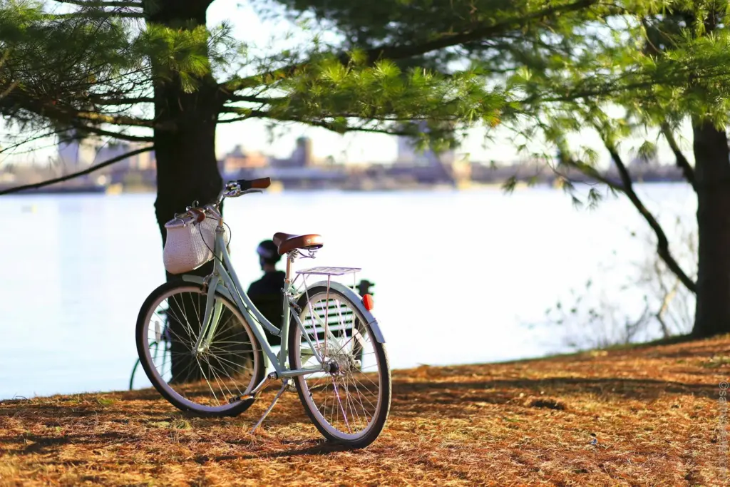 ein hellblaues Fahrrad steht an einem Gewässer, dahinter Bäume