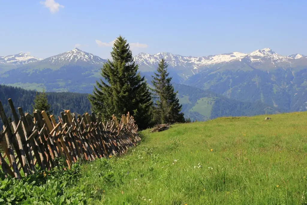 eine Landschaftsaufnahme, im Vordergrund eine Wiese mit einem Holzzaun, einigen Nadelbäumen, im Hintergrund Gebirsgzüge