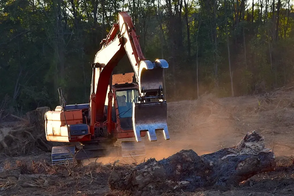 Eine Maschine holzt Wald ab, im Vordergrund zersägte Baumstämme und Staub, im Hintergrund einige Bäume