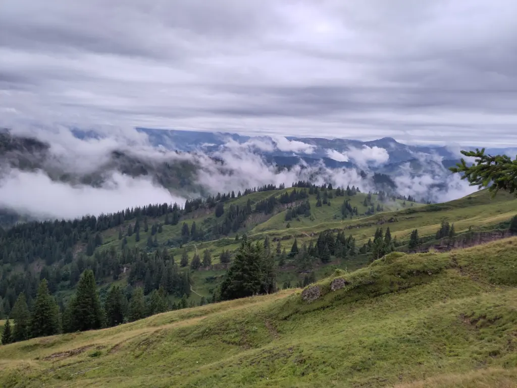 Das Bild zeigt eine Berglandschaft im Allgäu: Weiter unten wachsen Nadelbäume, im Vordergrund sind Bergwiesen zu sehen. Aus dem Tal steigen Wolken auf und der Himmel oben ist ebenfalls bewölkt.